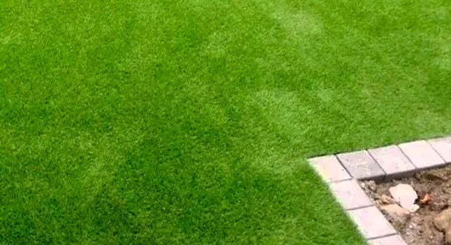 Artificial grass is the best alternative for your home or office  - Floors South Africa