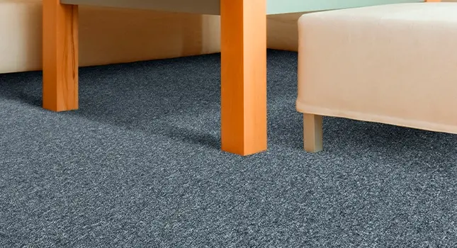 Carpets to improve every area of your home - Floors South Africa