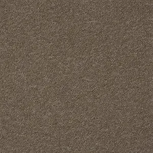 An image of the Moat carpet, a brown colour swatch from Belgotex’s Conqueror carpet collection.