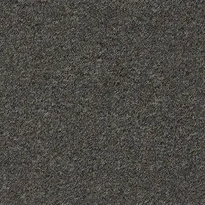 An image of the Sword carpet, a dark grey colour swatch from Belgotex’s Conqueror carpet collection.