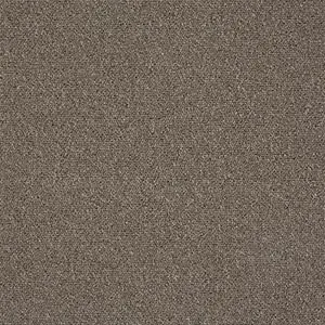 An image of the Come Together carpet, a brown colour swatch from Belgotex’s Inclusive carpet collection.
