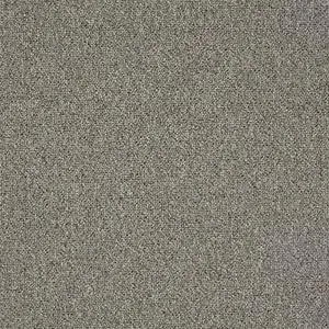 An image of the Gather Round carpet, a light brown colour swatch from Belgotex’s Inclusive carpet collection.