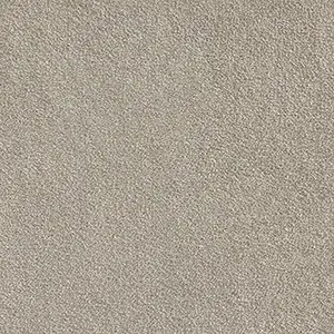 An image of the Tawny carpet, a beige colour swatch from Belgotex’s Softology carpet collection.