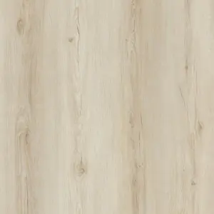 Hardwood flooring Maple color sample
